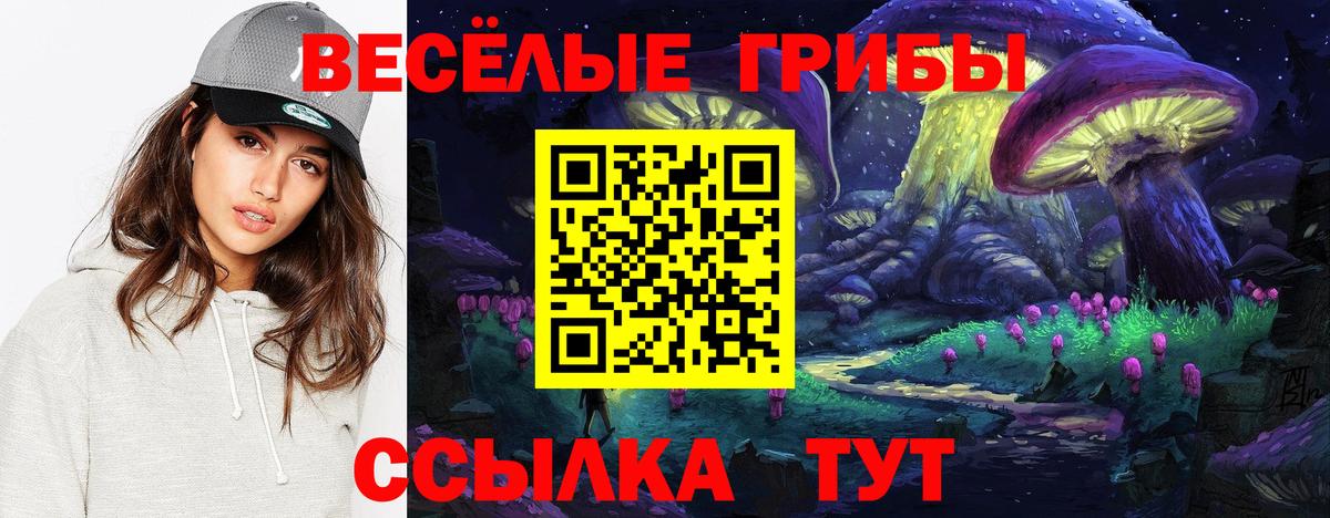 Галлюциногенные грибы Cubensis  Псилоцибиновые грибы прущие грибы  Волжск  Вход с VPN 
